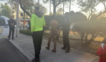 Detienen a hombre que se cubría con piel de perro; lo vinculan con muerte de dos canes