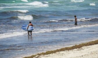 Juez protege manglares de Mahahual: Frena aval a cambios de suelo para desarrollo turístico