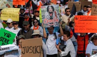 Refugio Franciscano: manifestantes acusan "masacre" canina