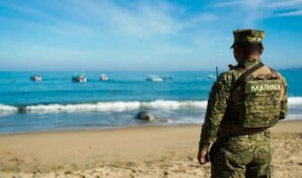 'Panchito', el elefante marino que tiene escolta y cuidado de biólogos