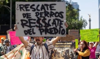 Estas son las empresas inmobiliarias de Carmela Rivero, directora de Fundación Haghenbeck