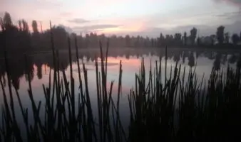 Tamales y humedales: Artículo de Carlos Galindo Leal