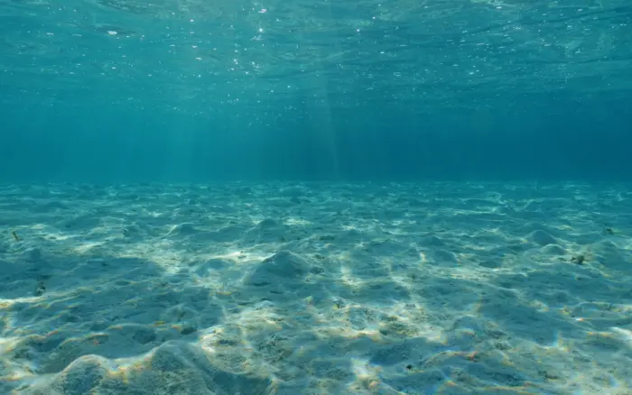 Hallan fósil de pez óseo más antiguo conocido; data de unos 436 millones de años