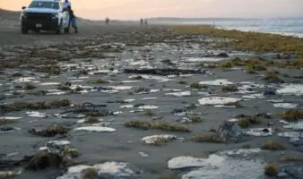 Pemex: Fuga en ducto provocó derrame de hidrocarburo en el Golfo de México