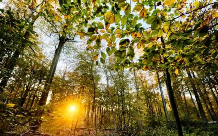 Día Natura 2000, red protege más de 27 mil áreas naturales en Europa