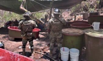 Desmantelan cinco narcolaboratorios en Jalisco, Nayarit y Sinaloa | Video