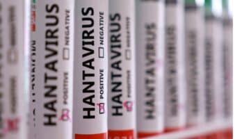 La OMS no excluye que se vean nuevos casos de hantavirus en próximos días o próxima semana