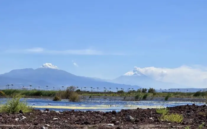 Ciencia ciudadana en los humedales del Lago de Texcoco: un año de exploración