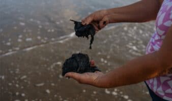 Oceana alerta por expansión petrolera en el Golfo de México