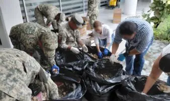 Detienen a hombre que transportaba mas de 11 mil huevos de tortuga golfina
