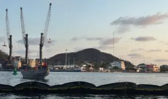 Colima | Marina contiene derrame de hidrocarburos en inmediaciones de muelle turístico