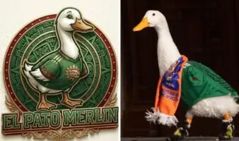 Dos personas intentaron registrar la marca del Pato Merlín antes que su familia