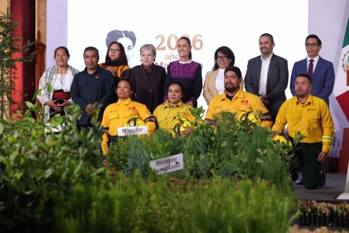 Gobierno reforestará 32 mil hectáreas con 6.6 millones de árboles