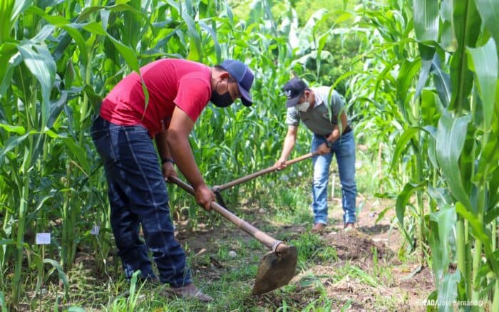 Sequías, el Niño y más crisis ambientales en la llegada de Latinoamérica a la COP17 | Mongabay Latam