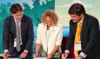 BirdLife, Audubon y CAF desarrollan un marco científico para conservar aves migratorias en América Latina y el Caribe
