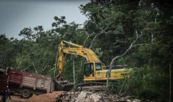Defender el territorio con la ley en contra: ¿Cómo las reformas al amparo dificultan la justicia ambiental en México?