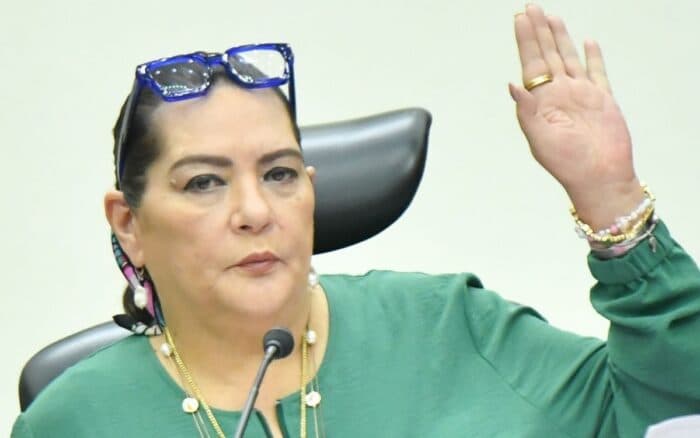 Auditoría anuncia revisión al INE: hay indicios de colusiones y triangulación de recursos